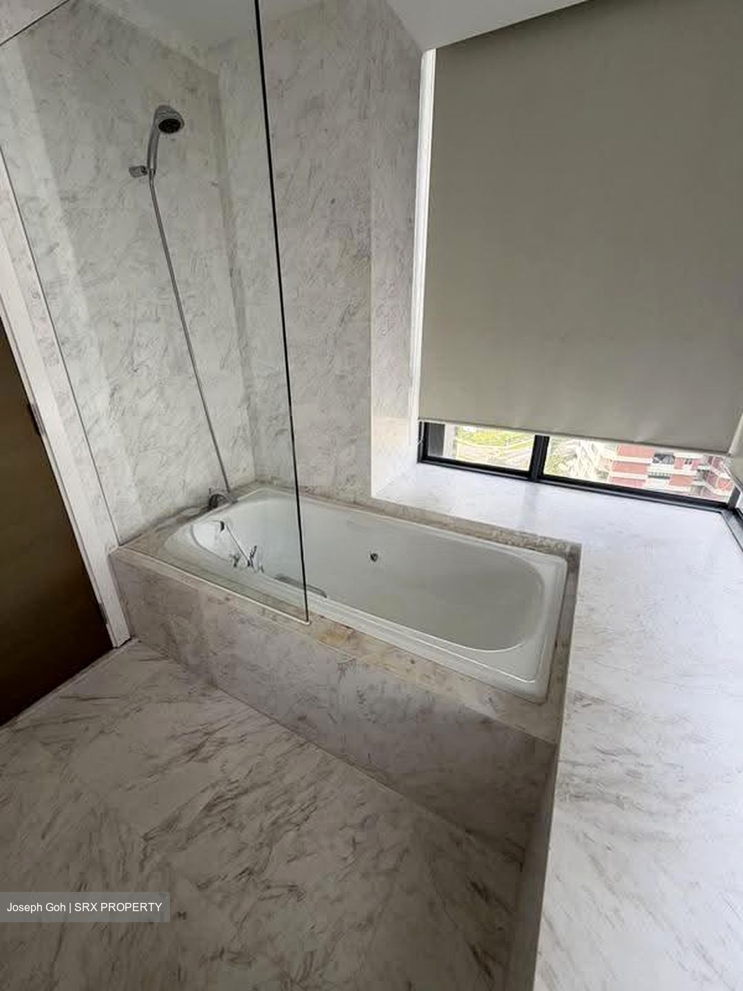 The Trizon (D10), Condominium #638204871